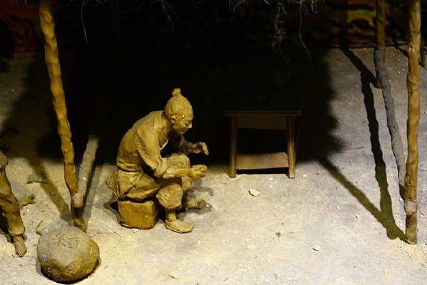 ͤ����Ϣ����