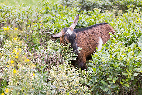 �ݴ��е���