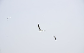 ������躣Ÿ