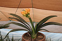 �������л�������