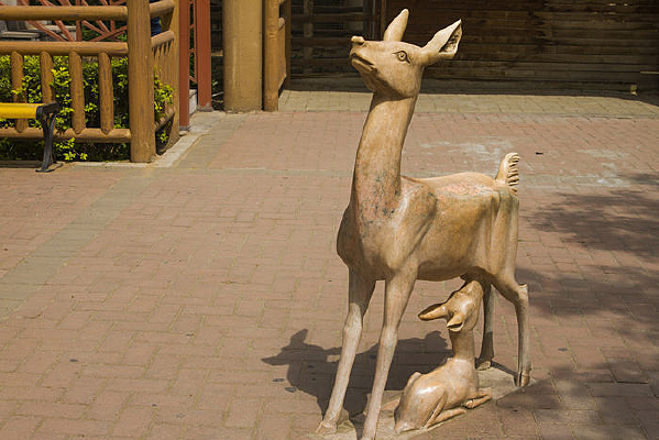 ���� ���̵�С¹