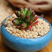 ����ֲ���֮��