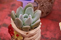 ����ֲ����������