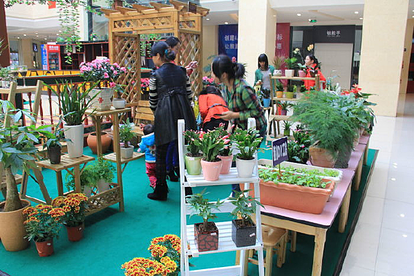 ���ܻ�������װ��չ��