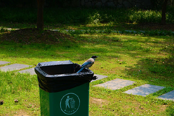 ����Ͱ�ϵ�С��