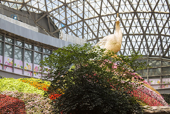 �߲ʻ��ܶѳɵĿ�ȸ����