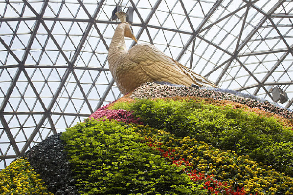 �����߲ʻ���