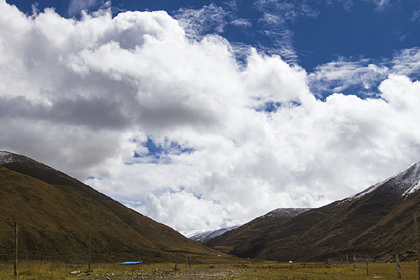 ɽ������