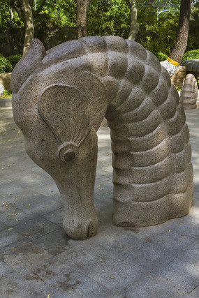 ʯ�� ��˼�ĺ���