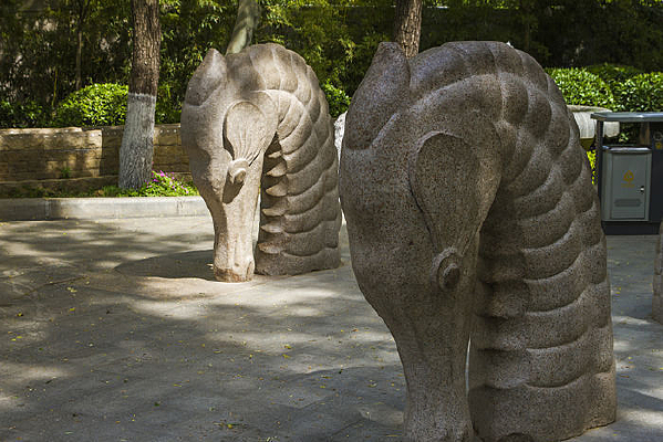 ʯ�� һ�Ժ���