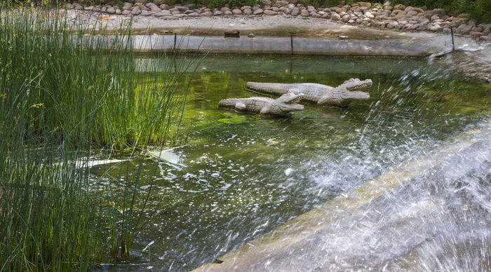 ʯ�� ����