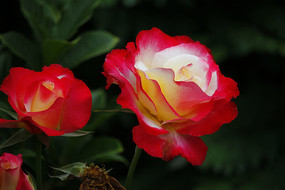 �컨�¼���