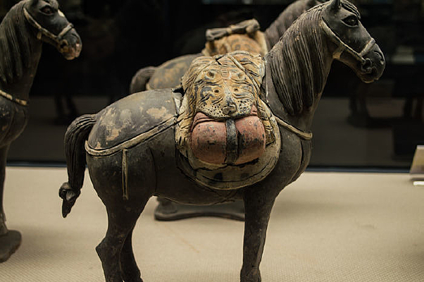 �ƴ�����ٸ