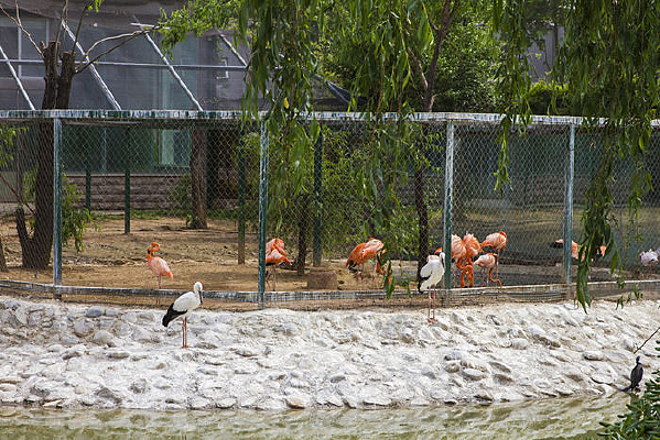 ����֮��