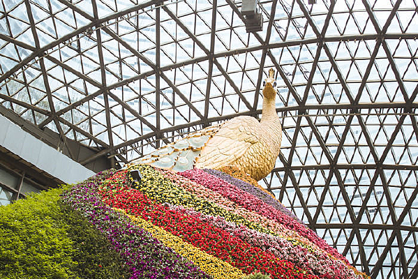 ����ʻ��̳ɵĽ��ȸ