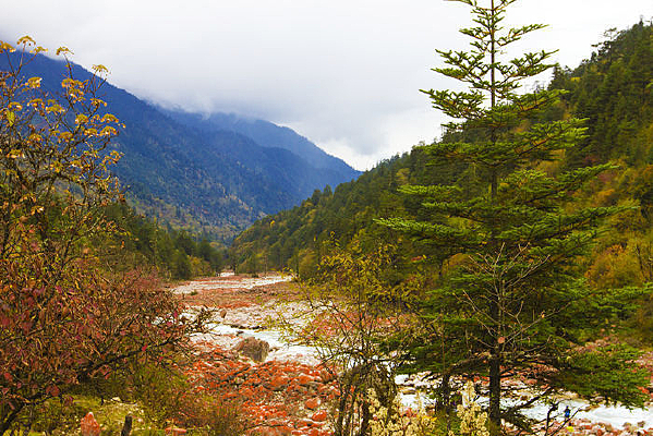 СϪ����ɽ��