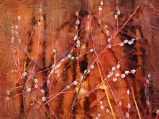 �����ͻ������ޡ�