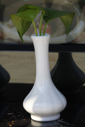 ��ɫ������ƿ