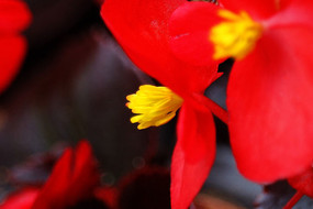 ����컨����