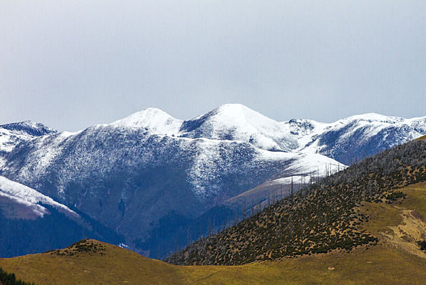 ���ع�·���ߵĸ�ɽѩ��