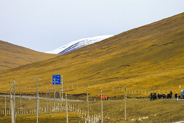 �����ߴ�Խ��·����ţ