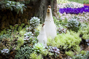 ����ֲ�������ֻС��ڼ�