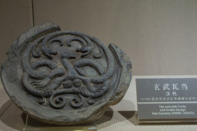 ���������ߵ�