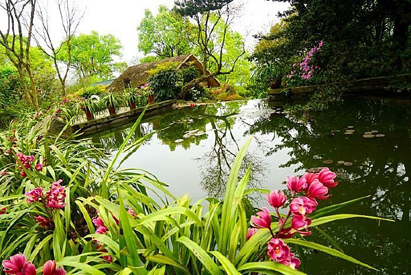 ��ɽֲ��԰�������ϵĻ�