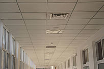 ҽԺ�����컨��