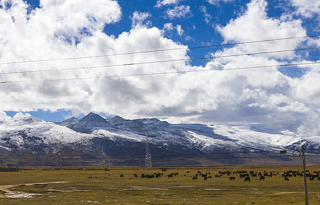 ���е���ţ