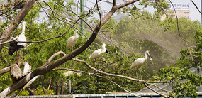 ֦���ϵı�����