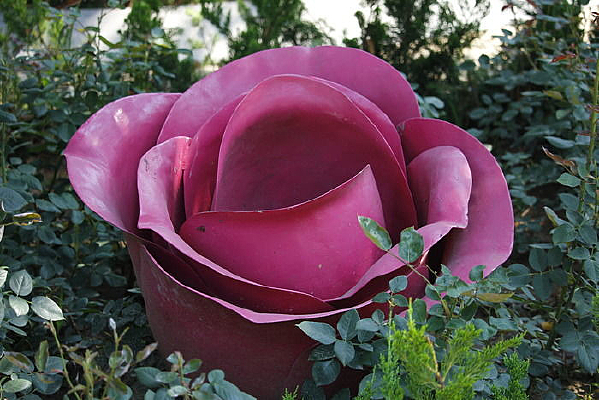 ����¼���