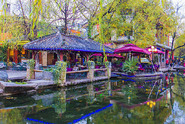 䳺ӹ���С�Ӳʷ�