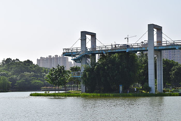 ������Ӱ