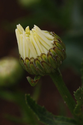 �������󻨰�