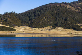 ����΢��