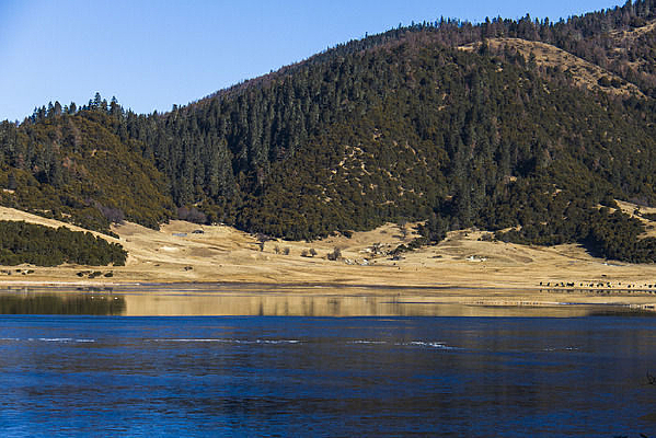 ����΢��