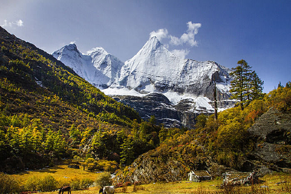 ��������԰