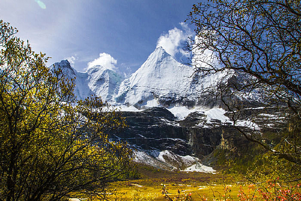 �����µ�����ţ��