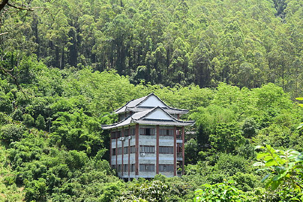 ������Ӱ