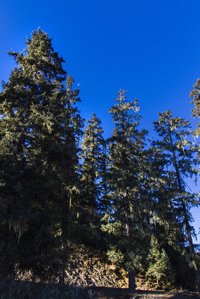 �ɰ��ϵ�б��