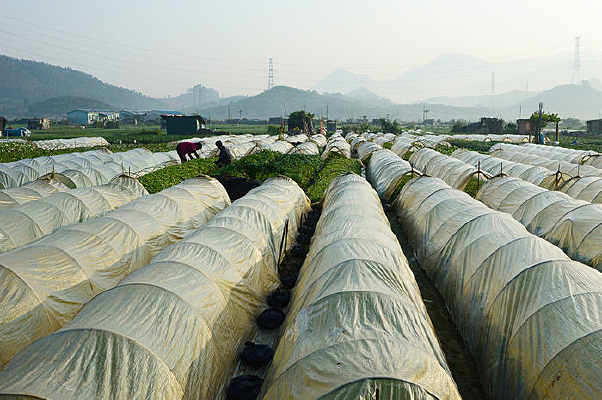 ���ϴ����ֲ�