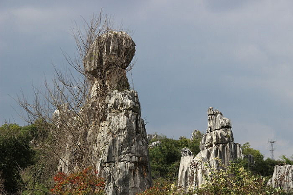 ���޺���һ��ʯͷ