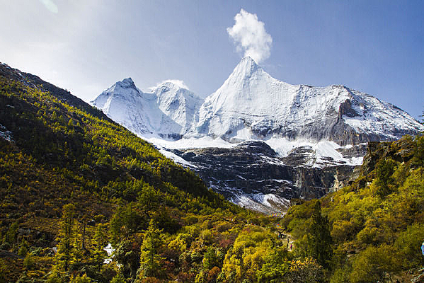 �����߷��