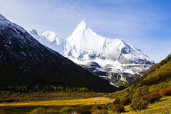 ����ţ��