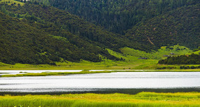 ��ɽ�ϵĺ���