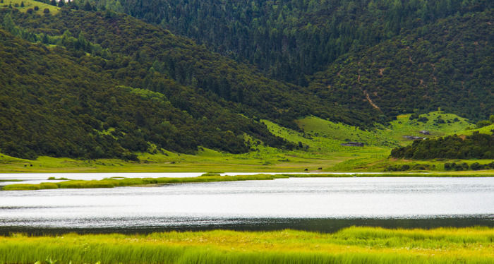 ��ɽ�ϵĺ���