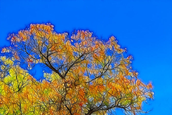 ���Ի���������Ҷ��