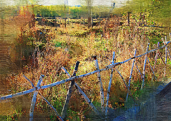 �����ͻ���ľդ����