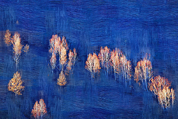 �����ͻ���ѩɽ���롷